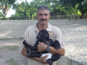 Baby Western Lowland Gorilla, Bangori, with on of his keepers, Rocky